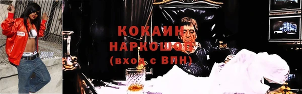 первитин Богданович