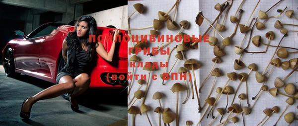 марки nbome Богородицк