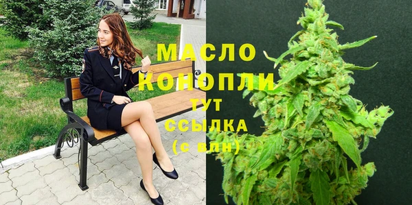 первитин Богданович