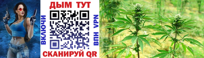Каннабис VHQ  кракен рабочий сайт  Енисейск  как найти закладки 